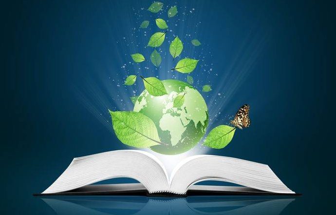 LIBRO VERDE SULL'EFFICIENZA ENERGETICA