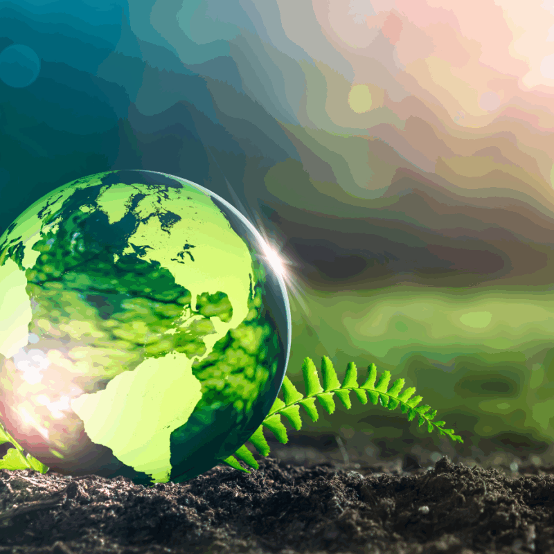 GREEN DEAL: ANALISI SFRUTTAMENTO E INQUINAMENTO DELLA TERRA