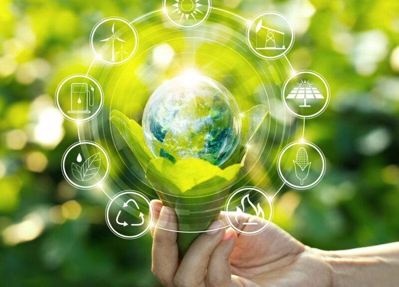 BIOENERGIA, CATTURA E STOCCAGGIO DELLA CO2