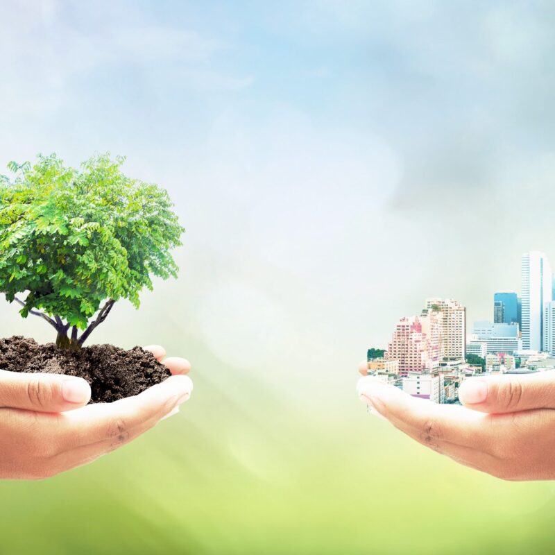 IL BIM NELLA PROGETTAZIONE SOSTENIBILE