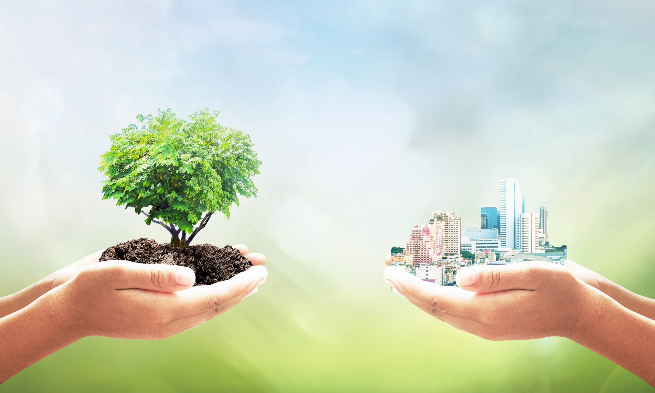 IL BIM NELLA PROGETTAZIONE SOSTENIBILE