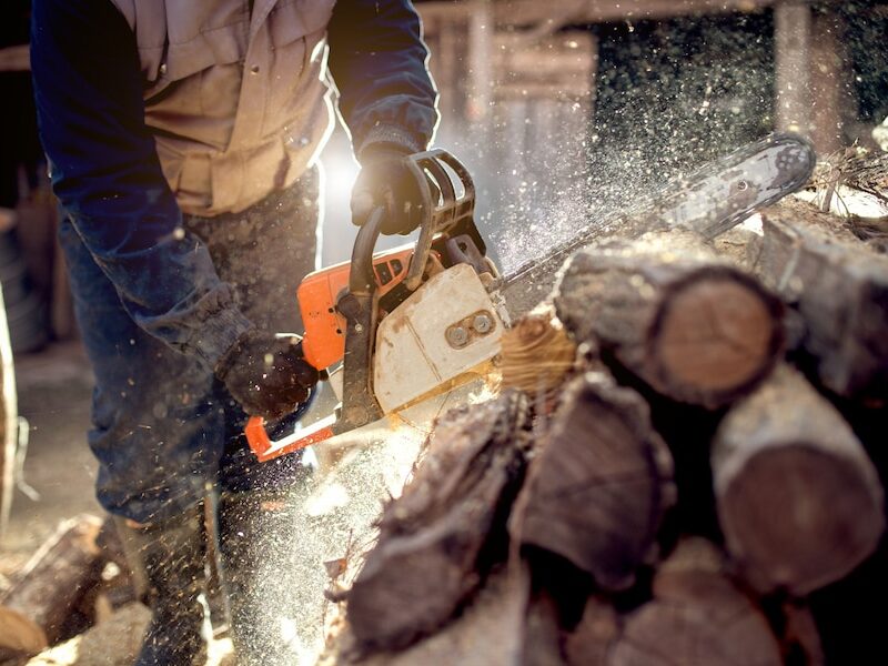 AGGIORNAMENTO ADDETTO ALL'USO IN SICUREZZA DELLA MOTOSEGA