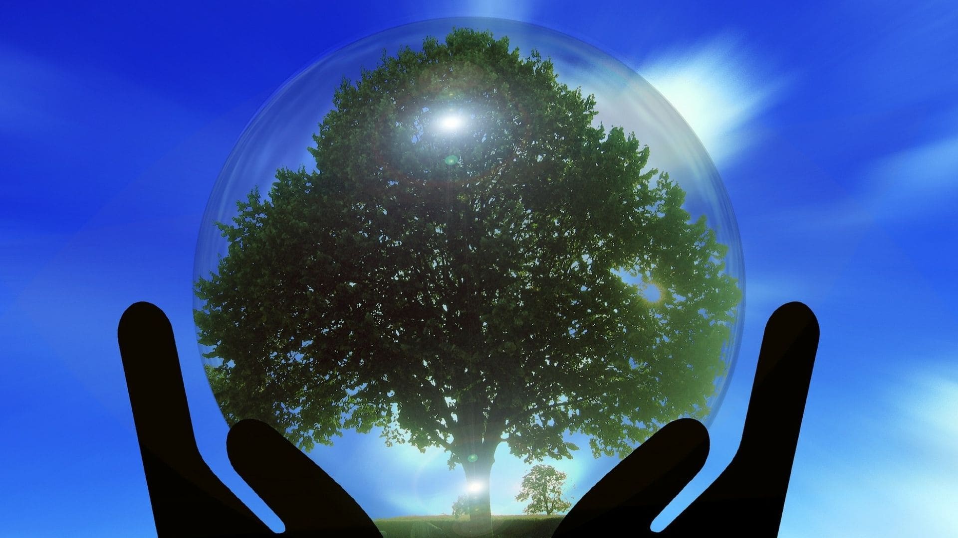 SISTEMA DI SCAMBIO DI QUOTE DI EMISSIONI DI GAS A EFFETTO SERRA