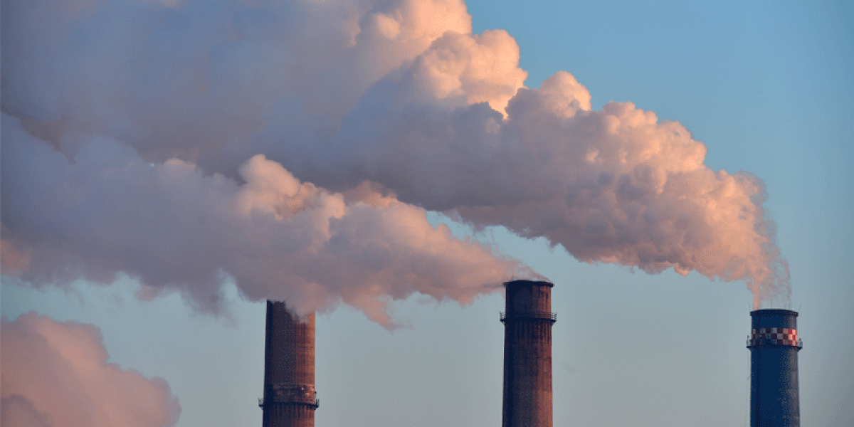 SISTEMA DI SCAMBIO DI QUOTE DI EMISSIONE DELL'UE