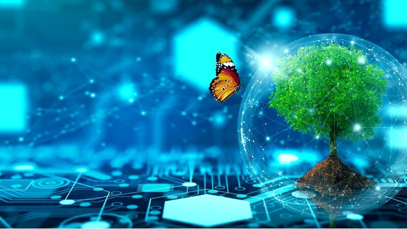 IL RUOLO DEL CLOUD NELLA TRANSIZIONE GREEN